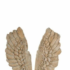 Brand new ⌛ Benzara Angel Wings Statue Wall Art, Set Of 2, Brown 🌟 -Benzara Sales Store unnamed file 4635